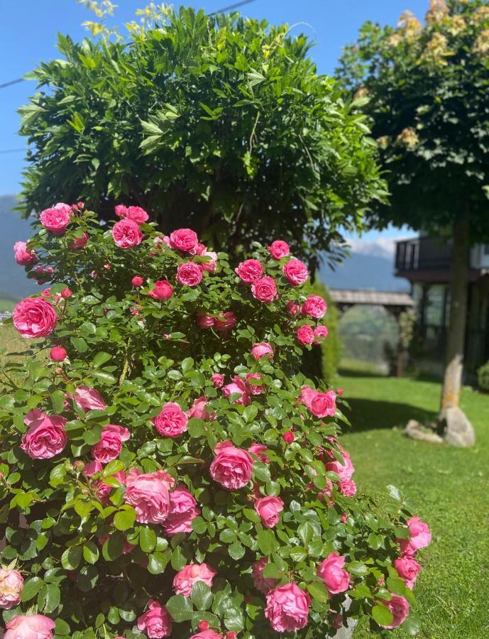 Haus Schwaighof Apartman Arzl im Pitztal Kültér fotó